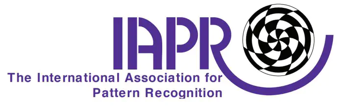 IAPR Fellow
